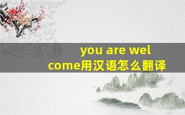 you are welcome用汉语怎么翻译